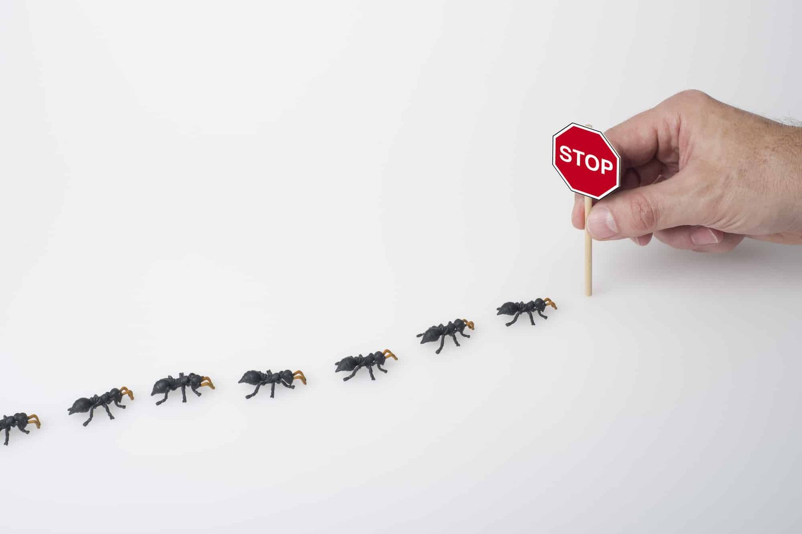 Ant Control