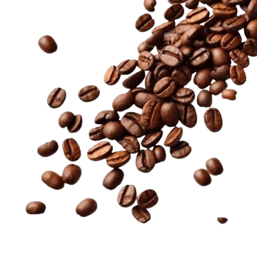 Beans Top
